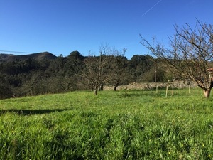 Replanteado: Vivienda-Unifamilar 