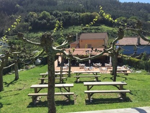 Terraza y Merenderos : Bar Las Brisas Pravianas (Cañedo)